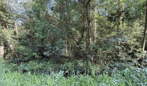 Photo #4 of TBD Wolf Pit Bay Rd., Nichols, SC 6.9 acres