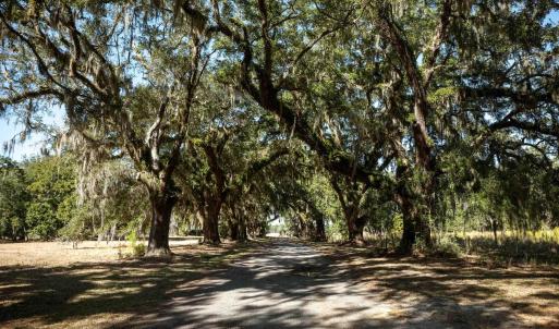 View of asphalt road with a view of trees