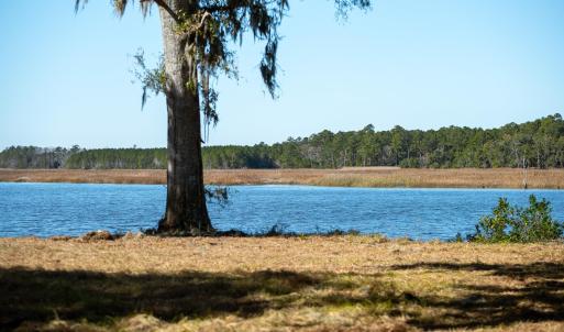 Water view with a forest