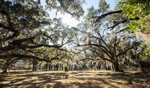 View of yard with a wooded view