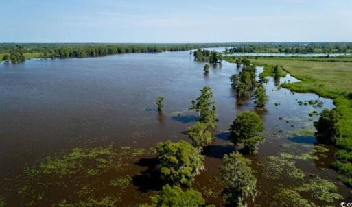 Photo #11 of 313 Rossdhu Ave., Pawleys Island, SC 2.4 acres