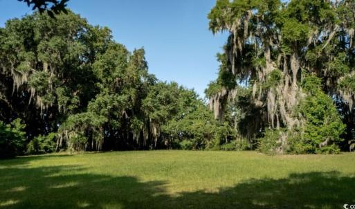 Photo #16 of 313 Rossdhu Ave., Pawleys Island, SC 2.4 acres