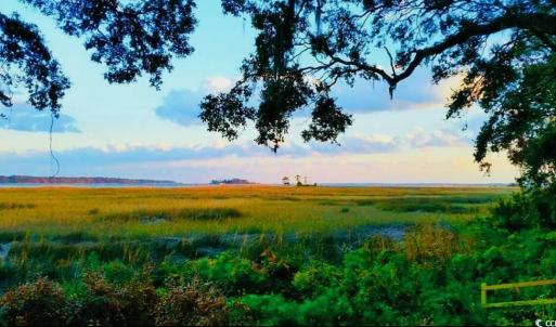 Nature at dusk with a rural view