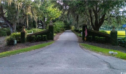 Photo #5 of 313 Rossdhu Ave., Pawleys Island, SC 2.4 acres
