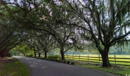 Photo #6 of 313 Rossdhu Ave., Pawleys Island, SC 2.4 acres