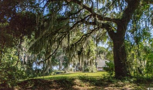 Photo #18 of 313 Rossdhu Ave., Pawleys Island, SC 2.4 acres