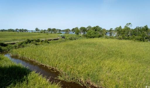 Photo #14 of 313 Rossdhu Ave., Pawleys Island, SC 2.4 acres