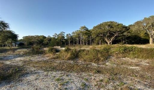 View of local wilderness