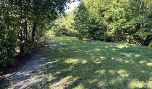 View of grassy yard featuring a forest view
