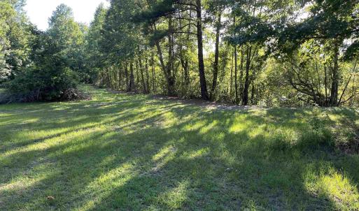 View of green lawn featuring a forest view