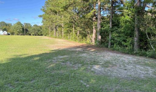 View of grassy yard with a view of trees