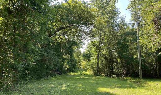 Photo #5 of TBD Hollywood Ln., Conway, SC 66.4 acres