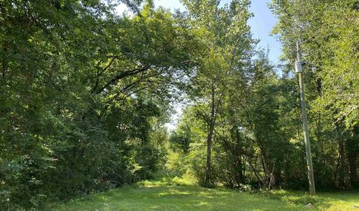 Photo #2 of TBD Hollywood Ln., Conway, SC 66.4 acres