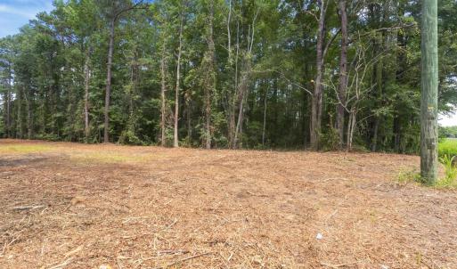 View of undeveloped land