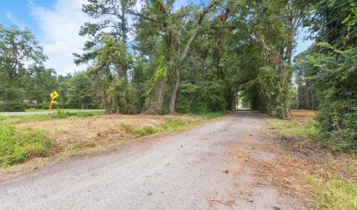 View of road featuring a wooded view