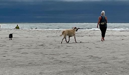Water view featuring local beach