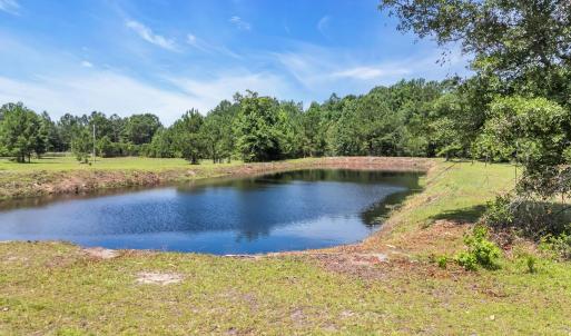 Photo #5 of 602 Alligator Rd., Andrews, SC 5.0 acres