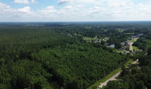 Bird's eye view of a forest