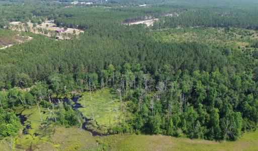 View of property location with a forest