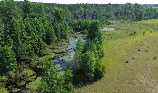 Photo #12 of 2366 Lockhart Rd, Camden, SC 171.5 acres