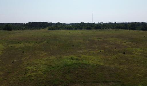 View of woods with a rural view