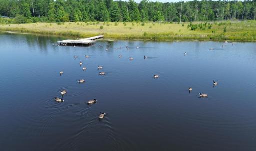 Water view with a forest and a floating dock