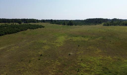 View of woods with a rural view
