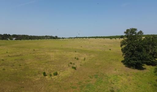 View of undeveloped land featuring rural landscape