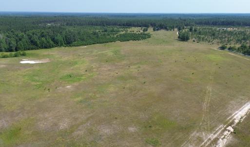 Aerial view of a forest