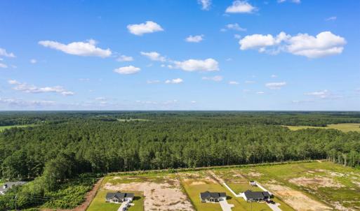 Bird's eye view of a forest