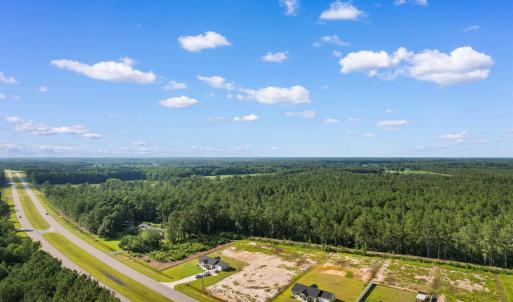 Drone / aerial view of a forest
