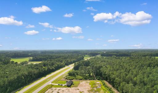 Bird's eye view of a forest
