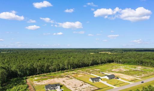 Drone / aerial view of a forest