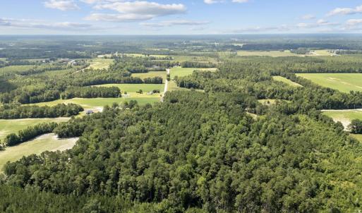 Photo #11 of TBD Plainfield Rd., Galivants Ferry, SC 4.3 acres