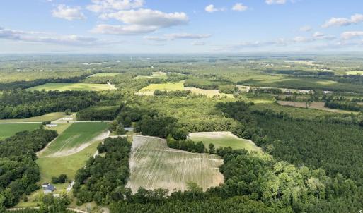 Photo #5 of TBD Plainfield Rd., Galivants Ferry, SC 4.3 acres
