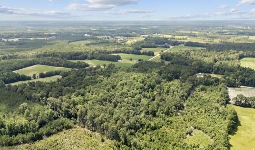 Photo #8 of TBD Plainfield Rd., Galivants Ferry, SC 4.3 acres