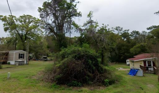 View of green lawn