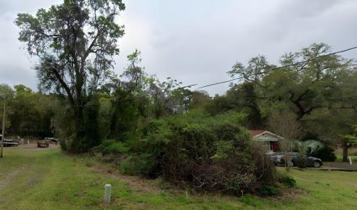 View of grassy yard with a wooded view