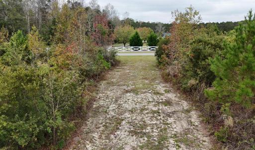 View of yard featuring a wooded view