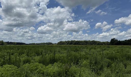 Photo #6 of 21.48 Acres - Harmony Hall Dr, Darlington, SC 21.5 acres