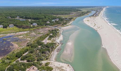 Aerial view of a forest and expansive coastline