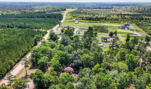 Aerial view of a forest