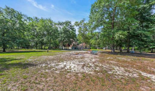View of yard featuring view of scattered trees