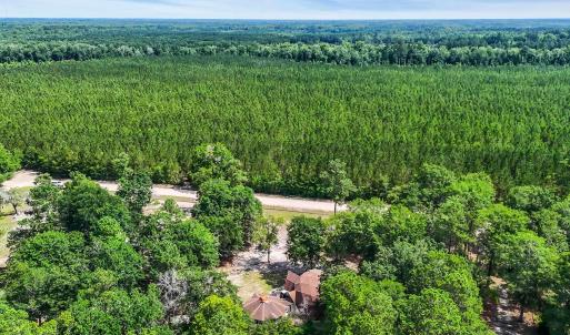 Aerial view of a forest