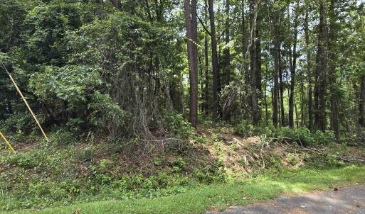 Photo #2 of 1051 Irene Ct., Conway, SC 0.7 acres