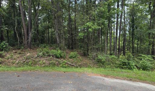 Photo #1 of 1051 Irene Ct., Conway, SC 0.7 acres