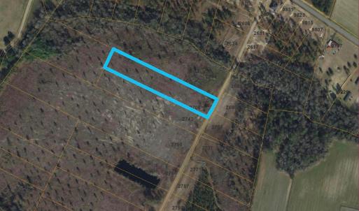 Photo #2 of 2708 Scarbrough Dr., Loris, SC 3.2 acres