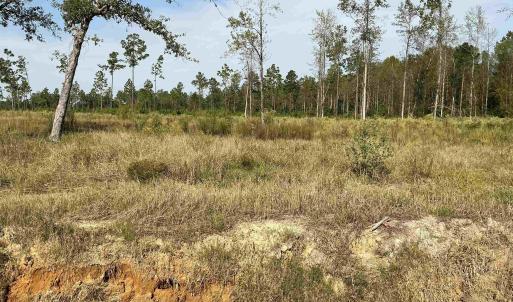 Photo #1 of 2708 Scarbrough Dr., Loris, SC 3.2 acres