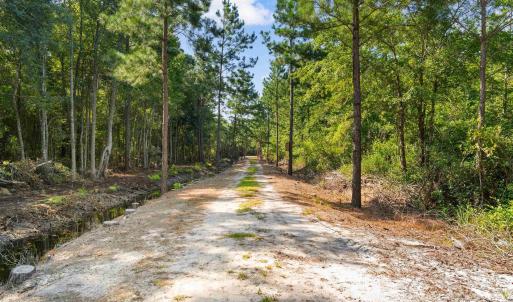 Photo #11 of TBD Cartwheel Rd., Mullins, SC 29.8 acres