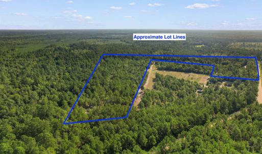 Photo #18 of TBD Cartwheel Rd., Mullins, SC 29.8 acres